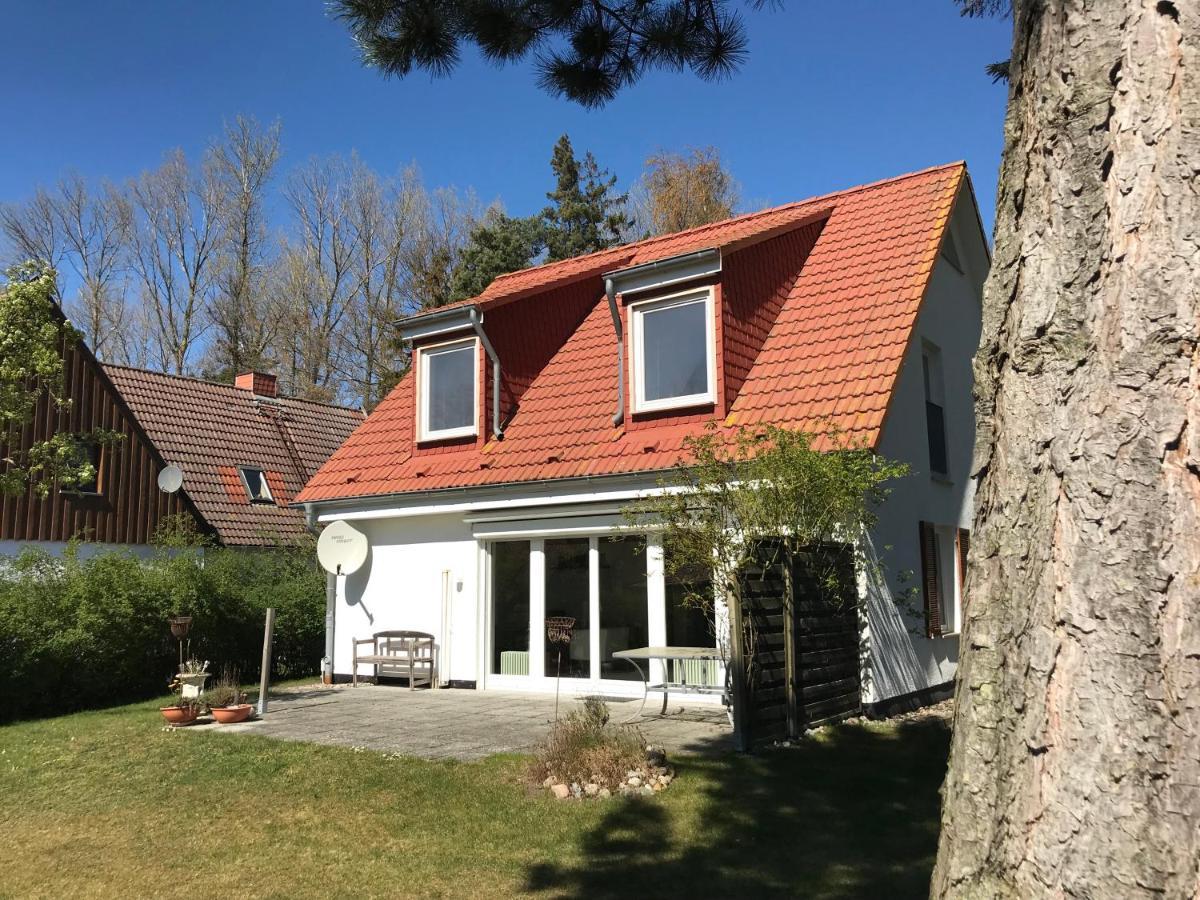 Ferienhaus Luett Matten Wustrow  Exterior photo